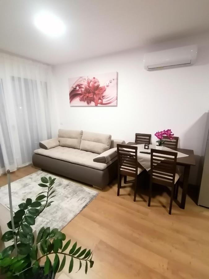 オラデアApartman Sarahアパートメント エクステリア 写真